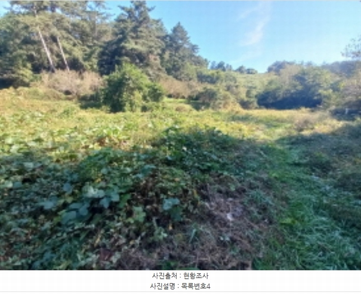 2023타경36895 경상남도 진주시 지수면 압사리 산101 임야 경매 이미지