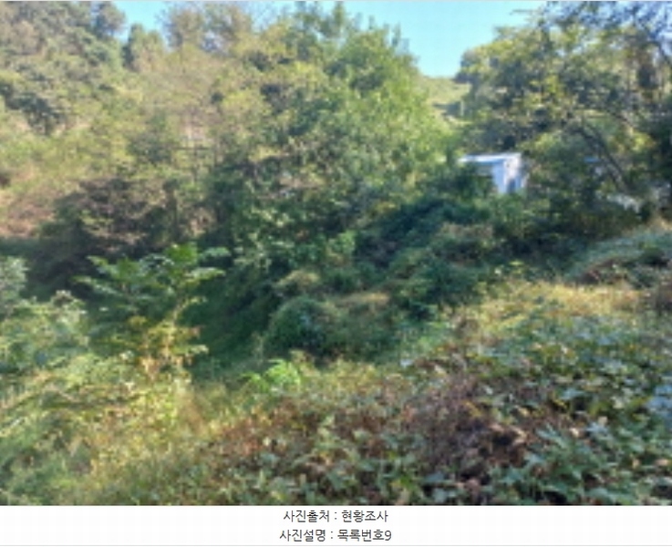 2023타경36895 경상남도 진주시 지수면 압사리 산101 임야 경매 이미지