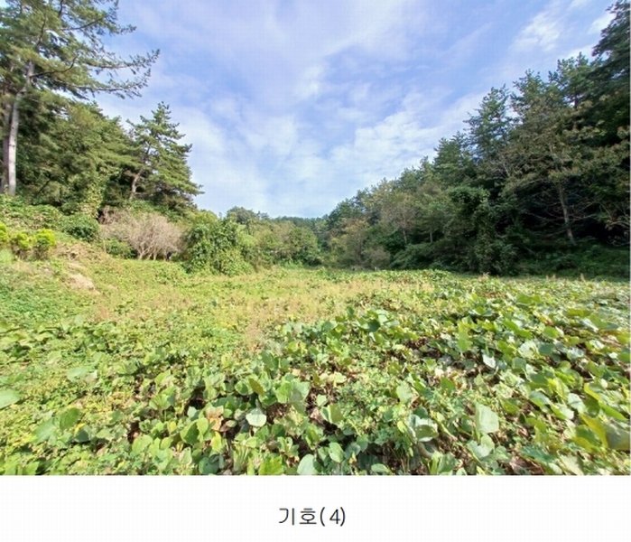 2023타경36895 경상남도 진주시 지수면 압사리 산101 임야 경매 이미지