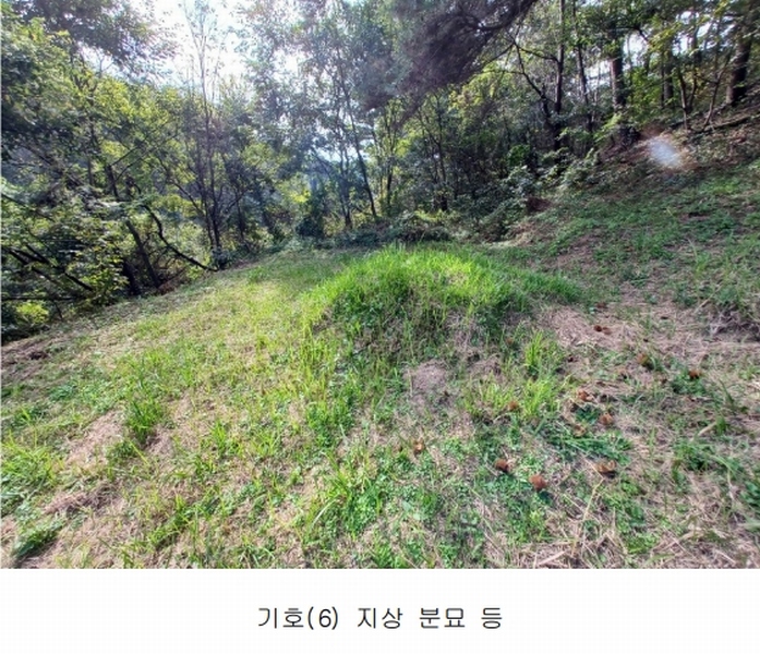 2023타경36895 경상남도 진주시 지수면 압사리 산101 임야 경매 이미지