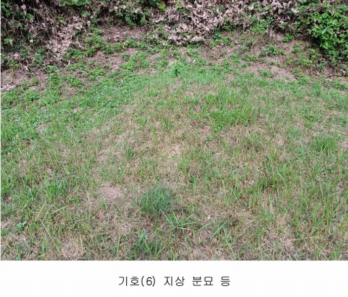2023타경36895 경상남도 진주시 지수면 압사리 산101 임야 경매 이미지
