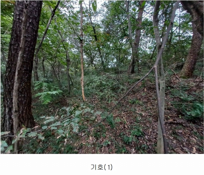 2023타경36895 경상남도 진주시 지수면 압사리 산101 임야 경매 이미지