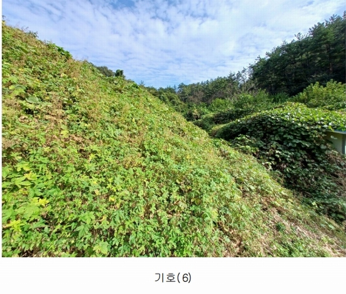 2023타경36895 경상남도 진주시 지수면 압사리 산101 임야 경매 이미지