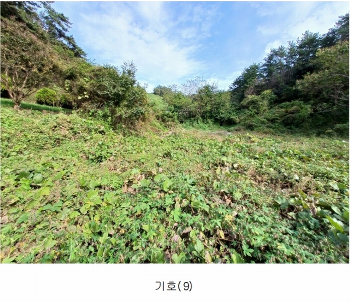 2023타경36895 경상남도 진주시 지수면 압사리 산101 임야 경매 이미지