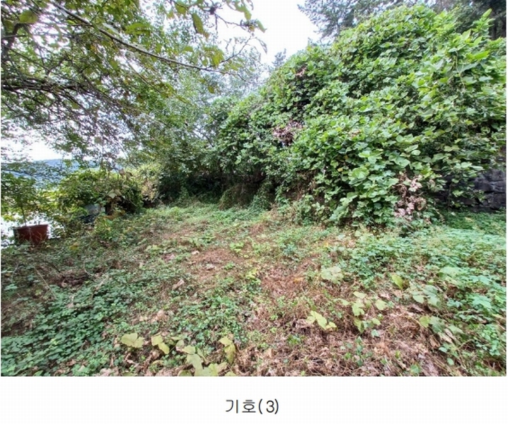 2023타경36895 경상남도 진주시 지수면 압사리 산101 임야 경매 이미지