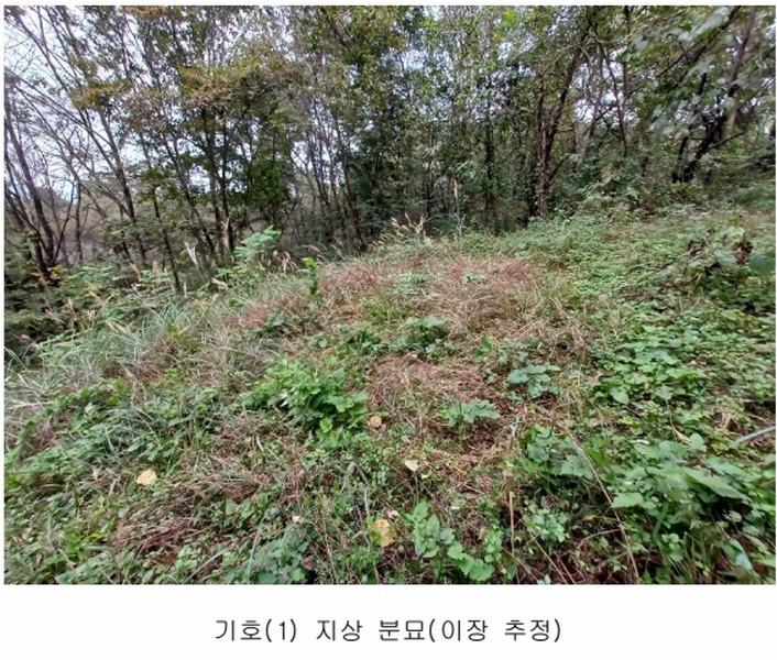 2023타경36895 경상남도 진주시 지수면 압사리 산101 임야 경매 이미지