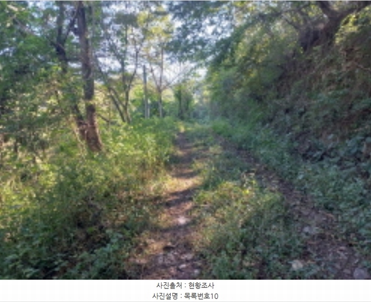2023타경36895 경상남도 진주시 지수면 압사리 산101 임야 경매 이미지