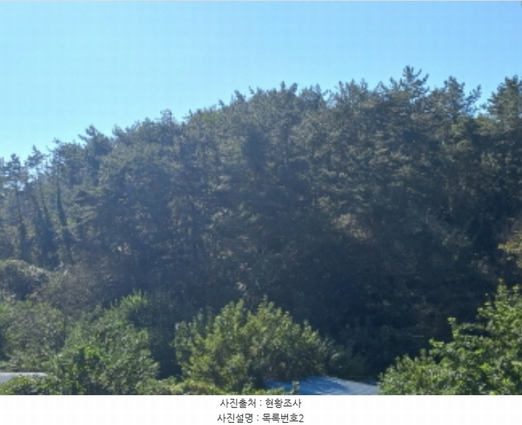 2023타경36895 경상남도 진주시 지수면 압사리 산101 임야 경매 이미지