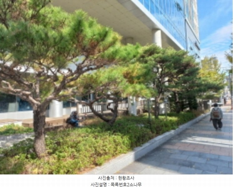 2023타경37706 경상남도 진주시 동성동 212-1 근린시설 경매 이미지