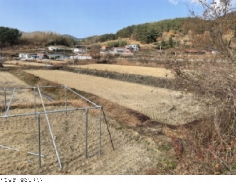 2023타경38792 경상남도 남해군 삼동면 동천리 610-1 농지 경매 이미지
