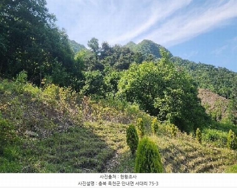 2025타경10137 충청북도 옥천군 안내면 서대리 75-3 농지 경매 이미지