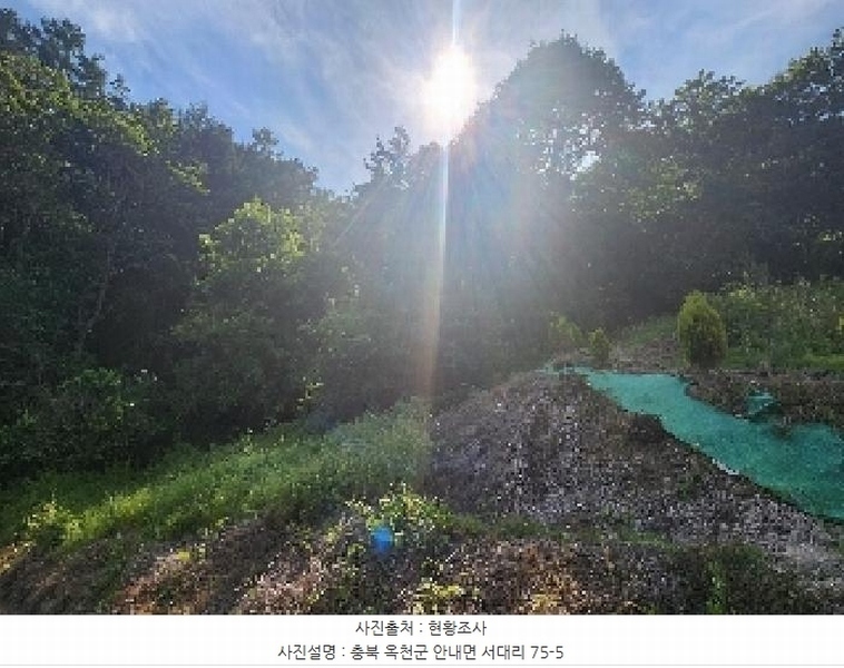 2025타경10137 충청북도 옥천군 안내면 서대리 75-3 농지 경매 이미지