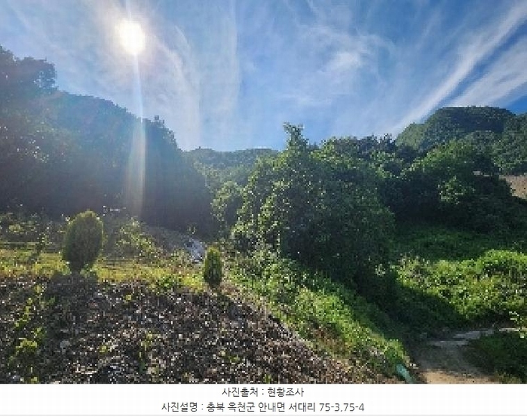 2025타경10137 충청북도 옥천군 안내면 서대리 75-3 농지 경매 이미지