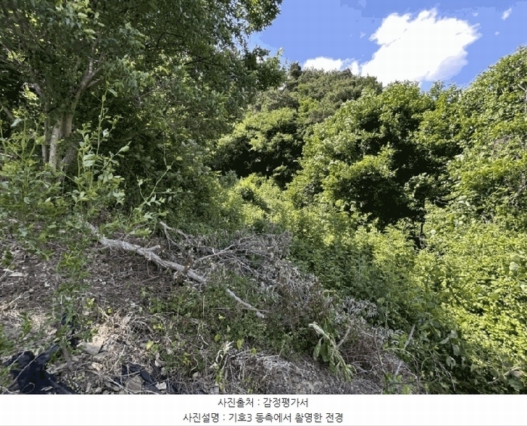 2025타경10137 충청북도 옥천군 안내면 서대리 75-3 농지 경매 이미지