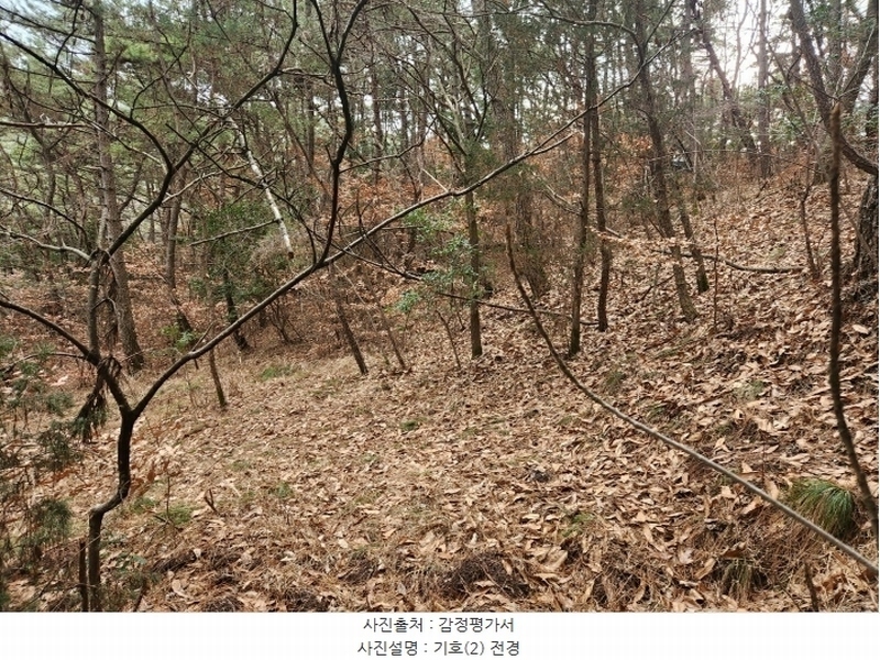2024타경725 경상남도 진주시 문산읍 상문리 산461 임야 경매 이미지