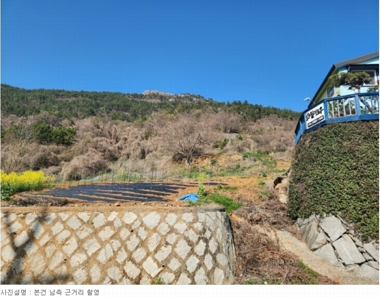 2024타경1575 경상남도 남해군 남면 선구리 산105 임야 경매 이미지