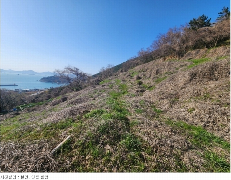 2024타경1575 경상남도 남해군 남면 선구리 산105 임야 경매 이미지