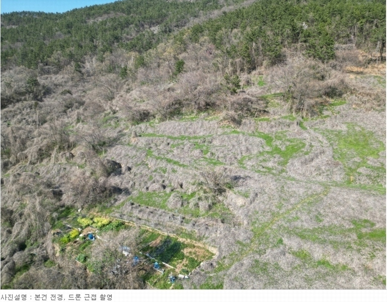 2024타경1575 경상남도 남해군 남면 선구리 산105 임야 경매 이미지