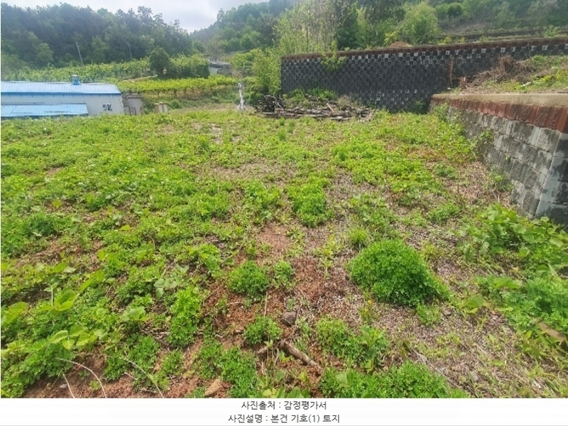 2024타경2073 경상남도 사천시 송포동 산185-31 임야 경매 이미지