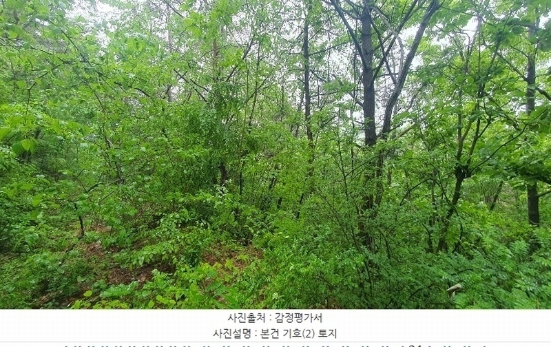 2024타경2233 경상남도 진주시 진성면 대사리 산241 임야 경매 이미지