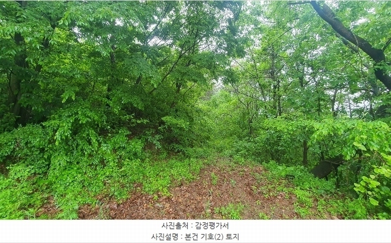 2024타경2233 경상남도 진주시 진성면 대사리 산241 임야 경매 이미지