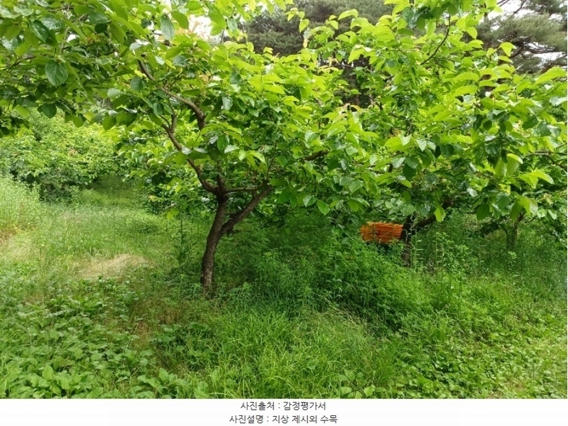 2024타경2592 경상남도 산청군 삼장면 석남리 344 농지 경매 이미지