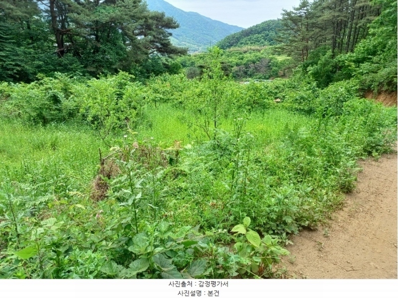 2024타경2592 경상남도 산청군 삼장면 석남리 344 농지 경매 이미지