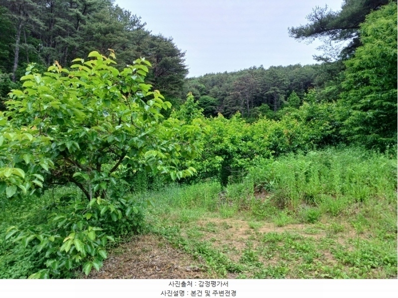 2024타경2592 경상남도 산청군 삼장면 석남리 344 농지 경매 이미지