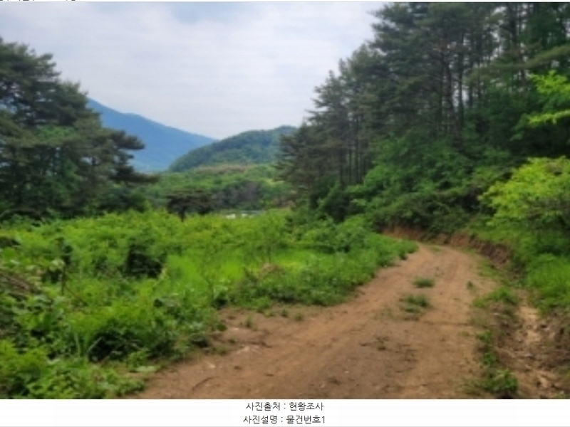 2024타경2592 경상남도 산청군 삼장면 석남리 344 농지 경매 이미지