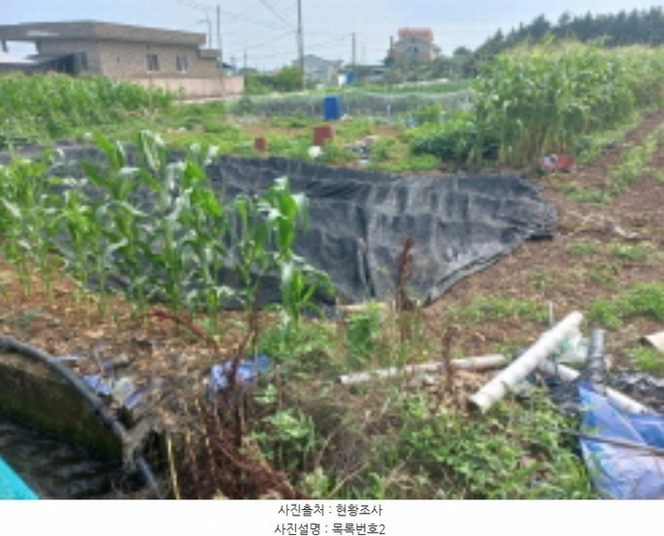 2024타경3335 경상남도 사천시 이금동 46-4 농지 경매 이미지