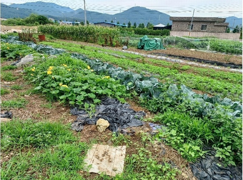 2024타경3335 경상남도 사천시 이금동 46-4 농지 경매 이미지