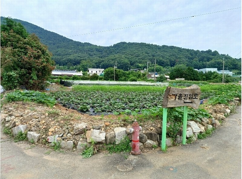 2024타경3335 경상남도 사천시 이금동 46-4 농지 경매 이미지