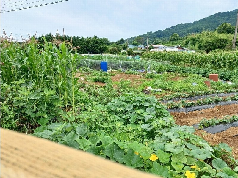 2024타경3335 경상남도 사천시 이금동 46-4 농지 경매 이미지