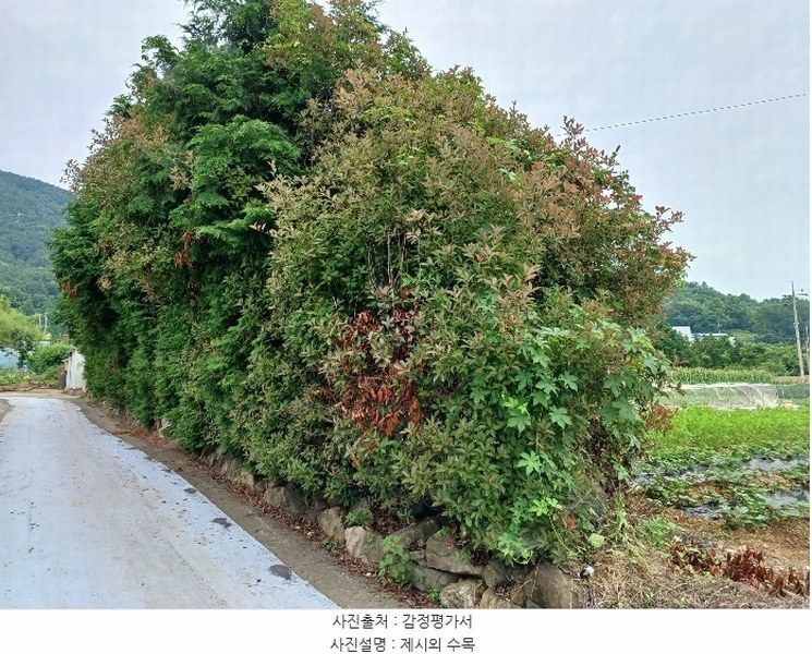 2024타경3335 경상남도 사천시 이금동 46-4 농지 경매 이미지