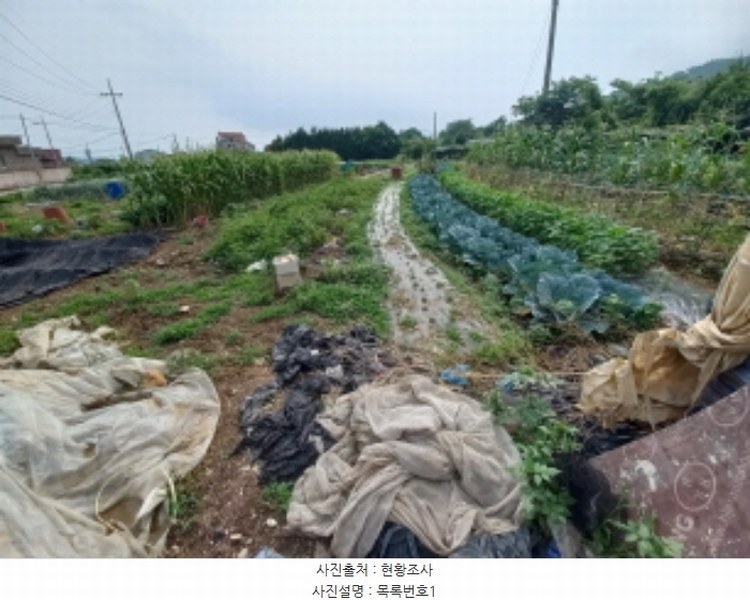2024타경3335 경상남도 사천시 이금동 46-4 농지 경매 이미지
