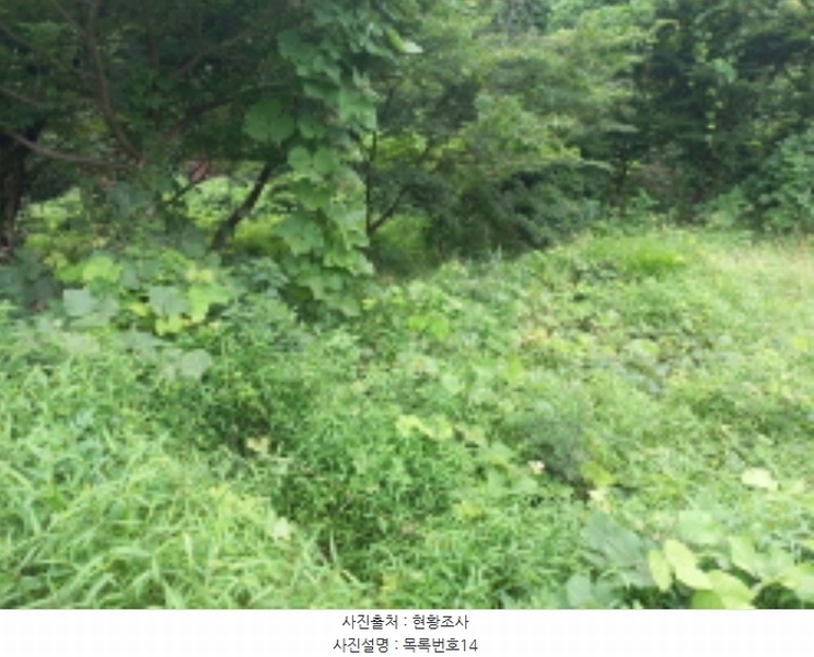 2024타경3946 경상남도 사천시 곤명면 은사리 203 농지 경매 이미지