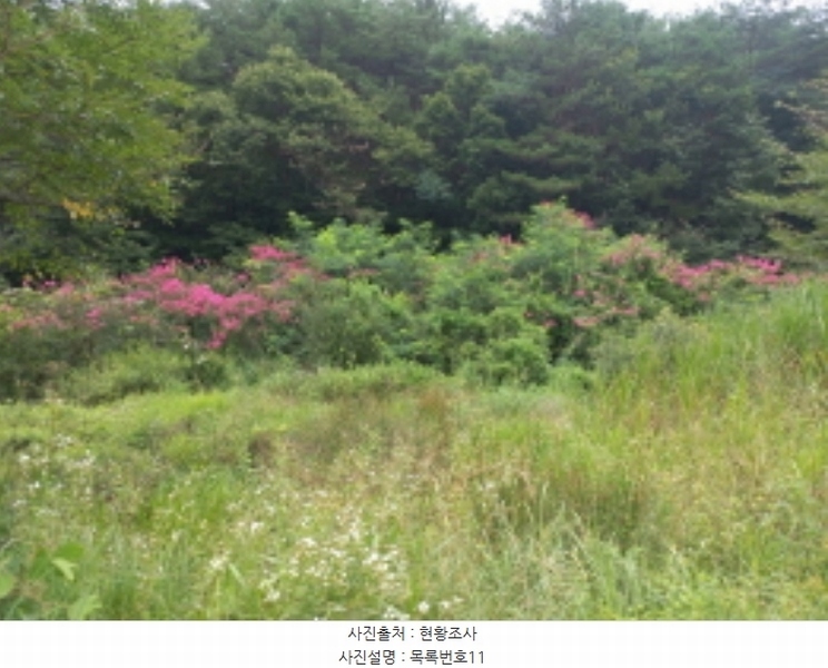 2024타경3946 경상남도 사천시 곤명면 은사리 203 농지 경매 이미지
