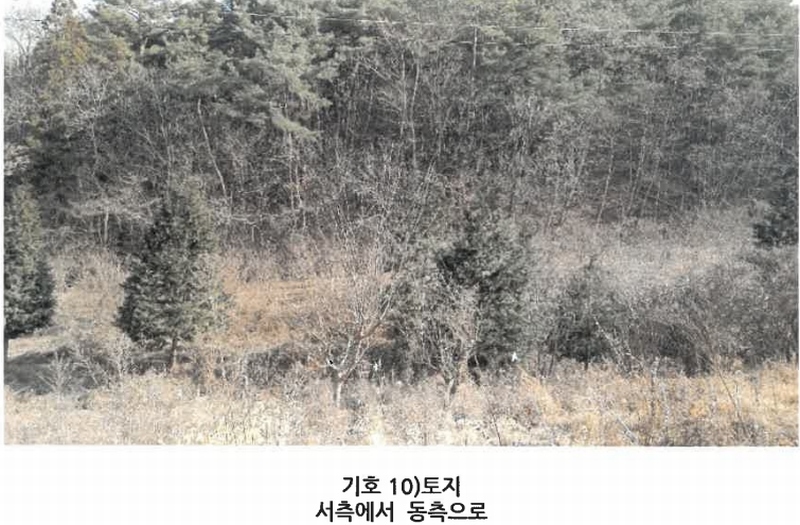 2024타경3946 경상남도 사천시 곤명면 은사리 203 농지 경매 이미지