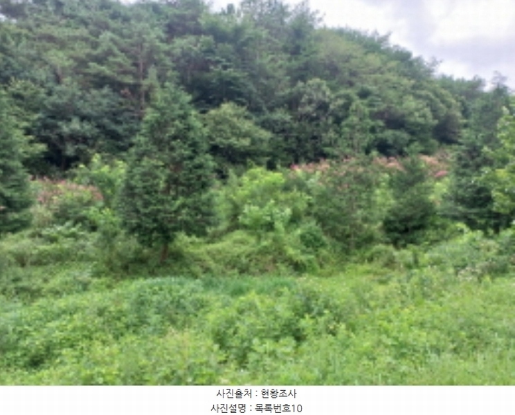 2024타경3946 경상남도 사천시 곤명면 은사리 203 농지 경매 이미지