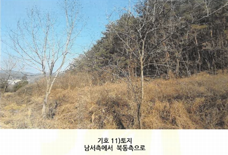 2024타경3946 경상남도 사천시 곤명면 은사리 203 농지 경매 이미지