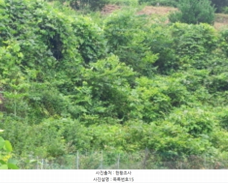 2024타경3946 경상남도 사천시 곤명면 은사리 203 농지 경매 이미지