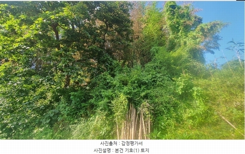 2024타경4277 경상남도 남해군 삼동면 물건리 130-14 농지 경매 이미지