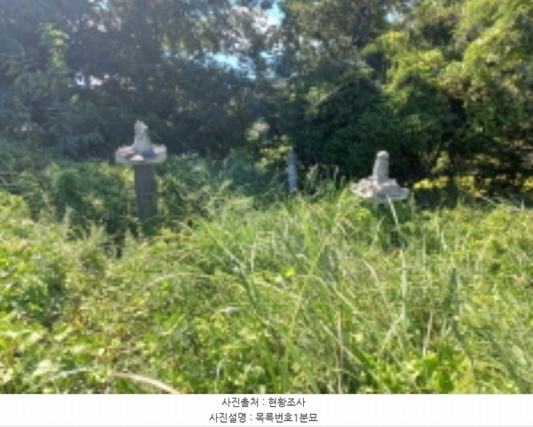 2024타경4772 경상남도 남해군 창선면 상죽리 532 농지 경매 이미지