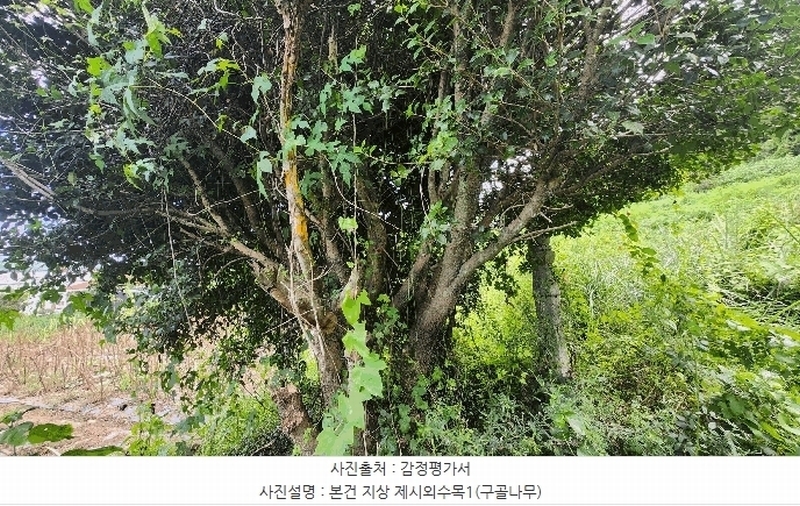 2024타경4772 경상남도 남해군 창선면 상죽리 532 농지 경매 이미지