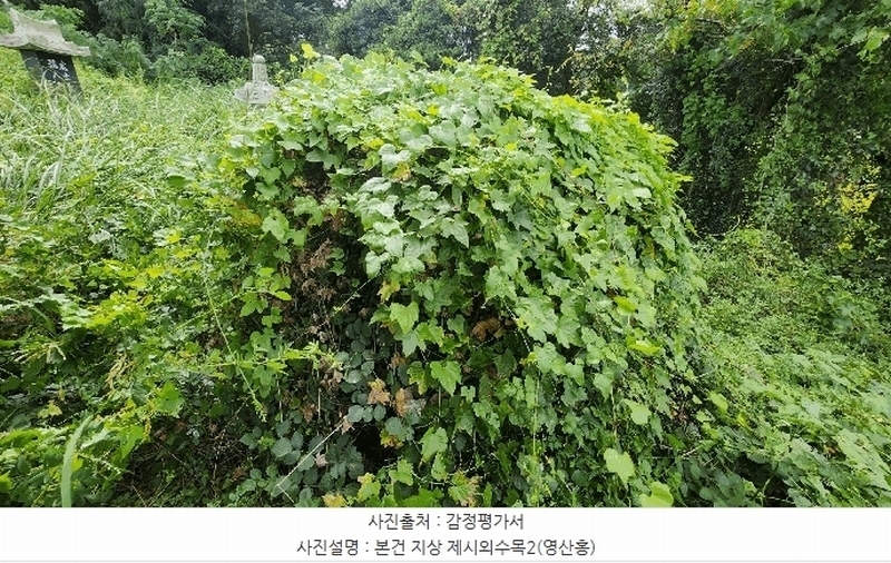 2024타경4772 경상남도 남해군 창선면 상죽리 532 농지 경매 이미지