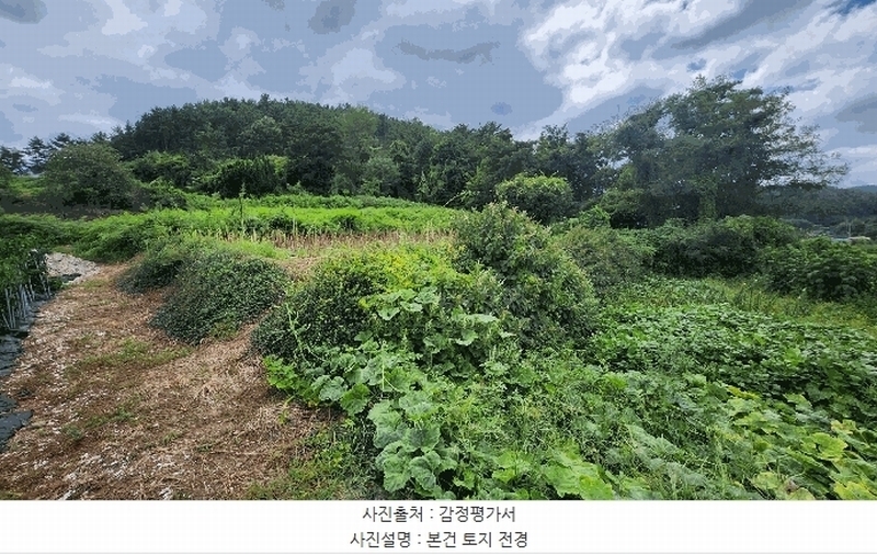 2024타경4772 경상남도 남해군 창선면 상죽리 532 농지 경매 이미지