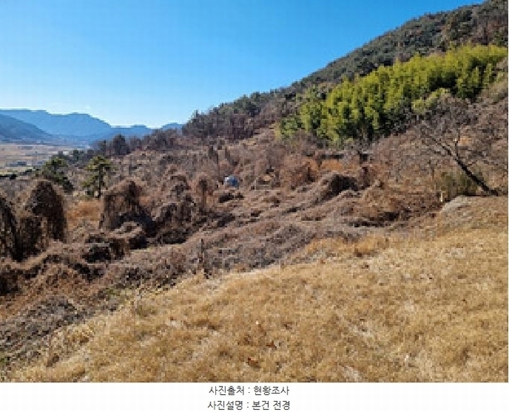 2025타경10146 경상남도 창원시 의창구 북면 신촌리 139 농지 경매 이미지