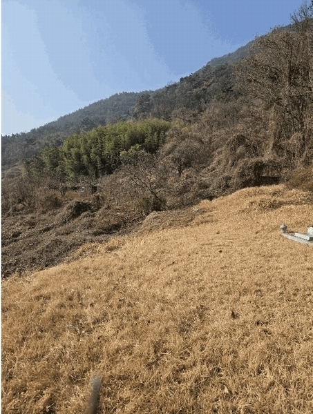 2025타경10146 경상남도 창원시 의창구 북면 신촌리 139 농지 경매 이미지