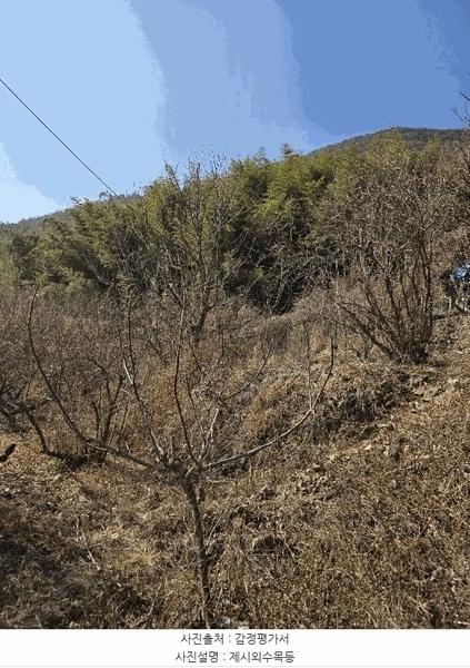 2025타경10146 경상남도 창원시 의창구 북면 신촌리 139 농지 경매 이미지