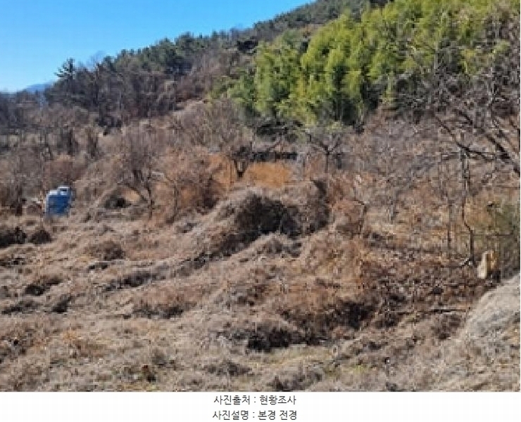 2025타경10146 경상남도 창원시 의창구 북면 신촌리 139 농지 경매 이미지